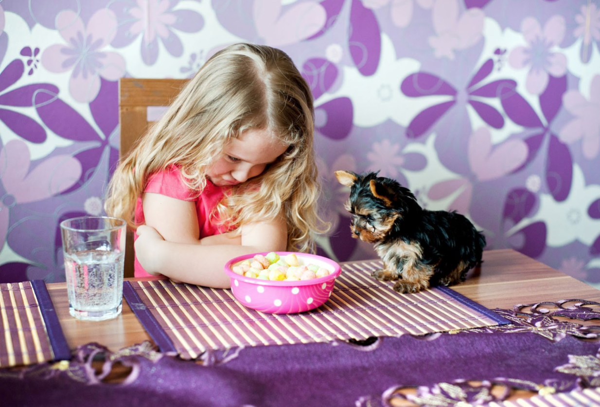 navigating mealtime struggles